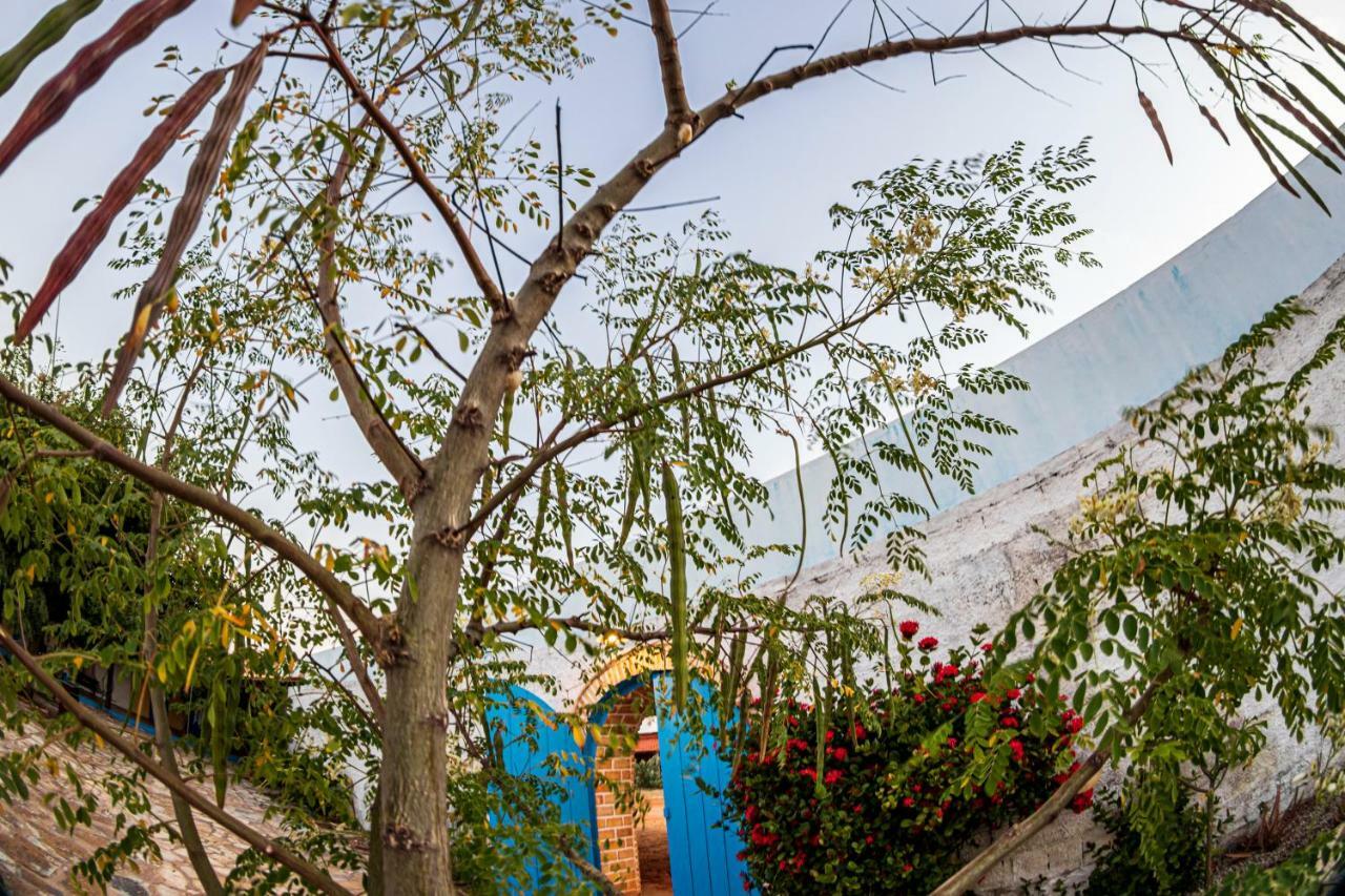 Pousada E Restaurante Tremembe Icapuí Exteriör bild